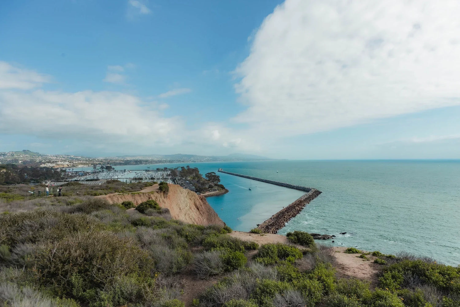 Best Places to Paddle Board in Orange County