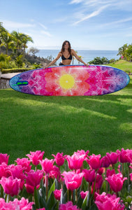 Spring Paddle Board