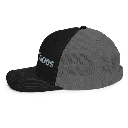 Sea Gods Logo Grey Embroidered Snapback